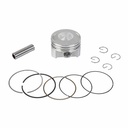 KIT PISTON MOTOMEL XPLORA 250/SKUA250/SKUA 200 V6 67mm (0.50) STD