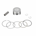 KIT PISTON PULSAR / ROUSER NS160 (58mm) (0.25) STD