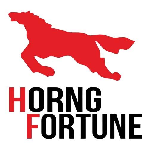 CUBIERTA HORNG FORTUNE 250X17 PISTA REF 4PR F861