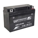 BATERIA DE GEL 12N6.5-3B STD EXCLU