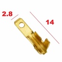 TERMINAL MACHO (ANCHO 2,8mm) BRONCE X 100 U. PLASTICA VC (701)