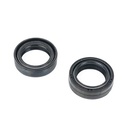 RETEN SUSPENSION YAMAHA YBR 125 30x40.5x10.5  JGO REPCOR (J005RSY)