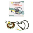 ESTATOR HONDA CBX250 TWISTER/XR250 TORNADO STD