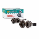 EJES Y ENGRANAJES DE CAMBIO SUZUKI AX100 STD