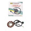 ESTATOR YAMAHA YBR 125 2003 (12 BOBINAS) STD