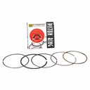 ARO PISTON BAJAJ ROUSER NS200 72 mm (0.25) STD