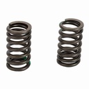 RESORTE DE VALVULA ADM/ESC YAMAHA FZ16 (JGO) (2PCS) STD