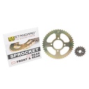 CORONA Y PIÑON MOTOMEL SKUA 150 (46/17) DORADA STD