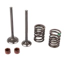 V-POWER KIT HONDA NEW WAVE 110/110 S (VALVULAS + RETEN + RESORTES) STD