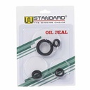 KIT RETENES BAJAJ ROUSER NS200 (4pcs) STD