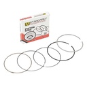 ARO PISTON HONDA CB300F TWISTER / XR300L TORNADO 77mm (STD) STD