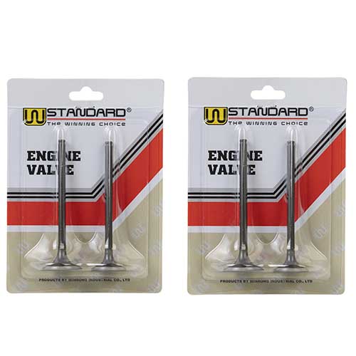 VALVULAS HONDA CB300F TWISTER / TORNADO XR300L (JGO 4 PCS) STD