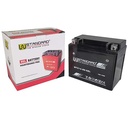 BATERIA DE GEL YTX12-BS STD