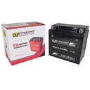 BATERIA DE GEL YTX14-BS STD