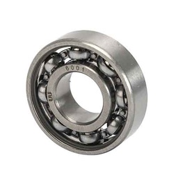 [W68006] RULEMAN 6001-C3 STD