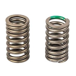 [W89463] RESORTE DE VALVULA ADM/ESC SUZUKI GIXXER 150 (JGO) (2PCS) STD