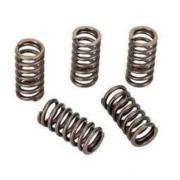 [W89507] RESORTE DE EMBRAGUE SUZUKI GIXXER 150 (5PCS/KIT) STD